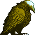 :iconconiglionero: