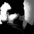 :iconconnorfitzd: