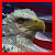 :iconconservatives-club: