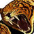 :iconconstansia: