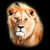:iconconstantin-mk:
