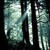 :iconconstnce-blog: