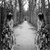 :iconconsumed-minds: