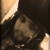 :iconcontaminateddream:
