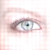:iconcontemplation247: