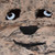 :iconcontext-fucker: