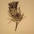 :iconcontrast-and-colour: