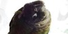 :iconconureclub: