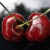 :iconconverse001: