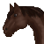 :iconcoocool: