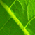:iconcookie-breath: