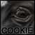 :iconcookie1992: