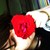 :iconcookieee22: