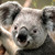 :iconcookiemonster390: