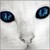 :iconcookies30: