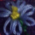 :iconcookieswithsprinkles: