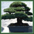 :iconCookin-Somethin-Good: