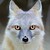 :iconcooklez4062: