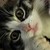 :iconcool-art1: