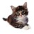 COOL-GUY-DEVIANT :iconcool-guy-deviant: