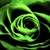 :iconcool-kat34: