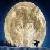 :iconcool-wolf-mom: