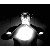 :iconcoolblue0248: