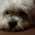 :iconcoolcat200: