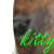 :iconcoolcutkittys3: