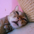 :iconcooldude210548: