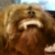 :iconcoolest-singer: