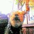 :iconcoolgirl141:
