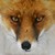 :iconcoolgirl2312: