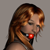 :iconcoolmadman123: