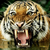 :iconcoolpixlover74: