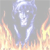 :iconcoolrasmus: