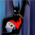 :iconcoopdawhoop: