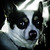 :iconcopper1rose: