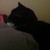 :iconcopperbelles: