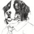 :iconcopperfanghusky: