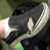 :iconcopperplatebold: