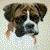 :iconcoppertop78: