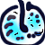 :iconcoqatriz: