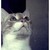 :iconcoralfg: