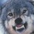 :iconcordillac: