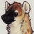 Corgyena :iconcorgyena: