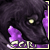 :iconcori: