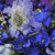 CorianneDenby :iconcoriannedenby: