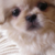 :iconcorky98: