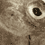 :iconcornel: